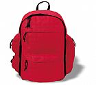 Backpack/Cooler bag
