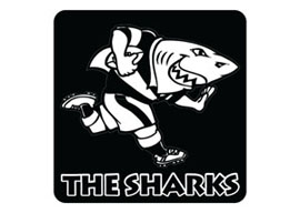 Sharks Coasters - 4 in a Pack Rugby Coasters - Min order 50 unit
