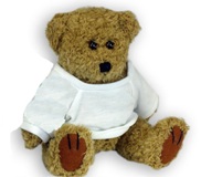 Large Brown Teddy Bear (23Cm), With Printable Teddy Tshirt
