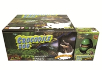 Toy Growing Crocodile Egg 12 In Display - Min Order - 10 Units