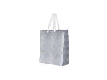 Sliver Paper Gift Bag [20cm]