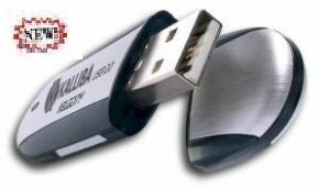 Kalliba 1Gb usb2.0 flash drive , high speed - 2 year warranty